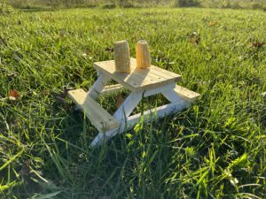 Squirrel picnic table feeder