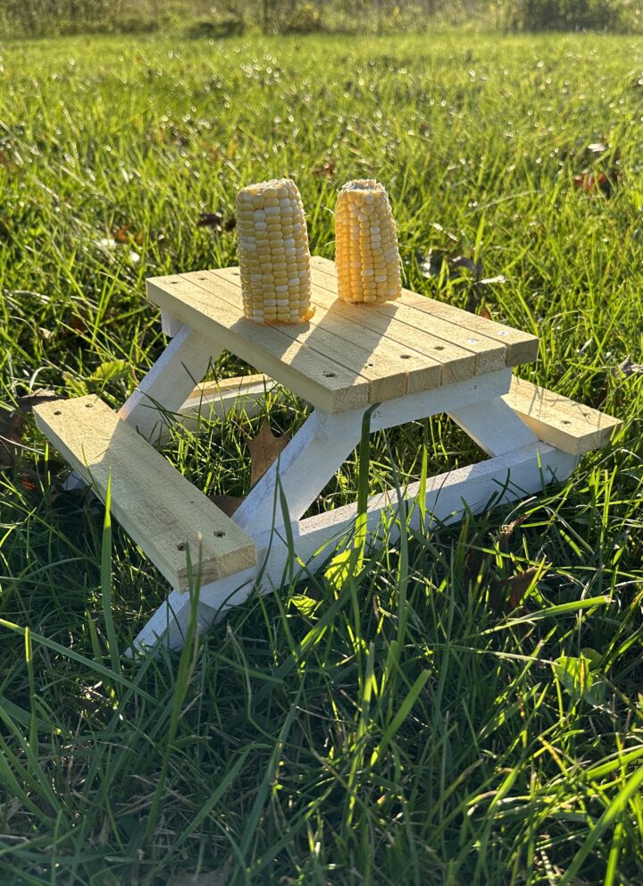 Squirrel picnic table feeder